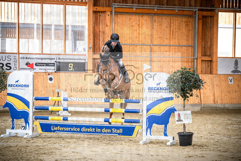 DOS_2076 | Entdecke hochwertige Reitturnierfotos von Foto Oger. Professionell, emotional und authentisch – jetzt Lieblingsmomente im Shop bestellen.Deutschlandweite Turnierfotografie. - Realisiert mit Pictrs.com