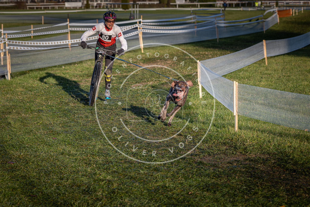 CaniXpix_0L8A3671 | Hundefotografie, Tierfotograf, Pfotenfotografie, Fotoshooting Hund, Hunde Portrait, Hundesport, Hundeportraits, Heideshooting, Hunde, Sportfotograf, Hundefotograf, Turnierhundsport, THS,  - Realisiert mit Pictrs.com