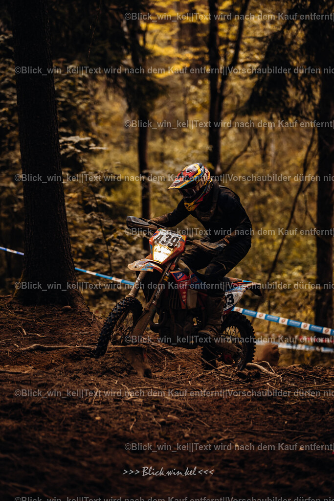 E68A5843 | blick_win_kel