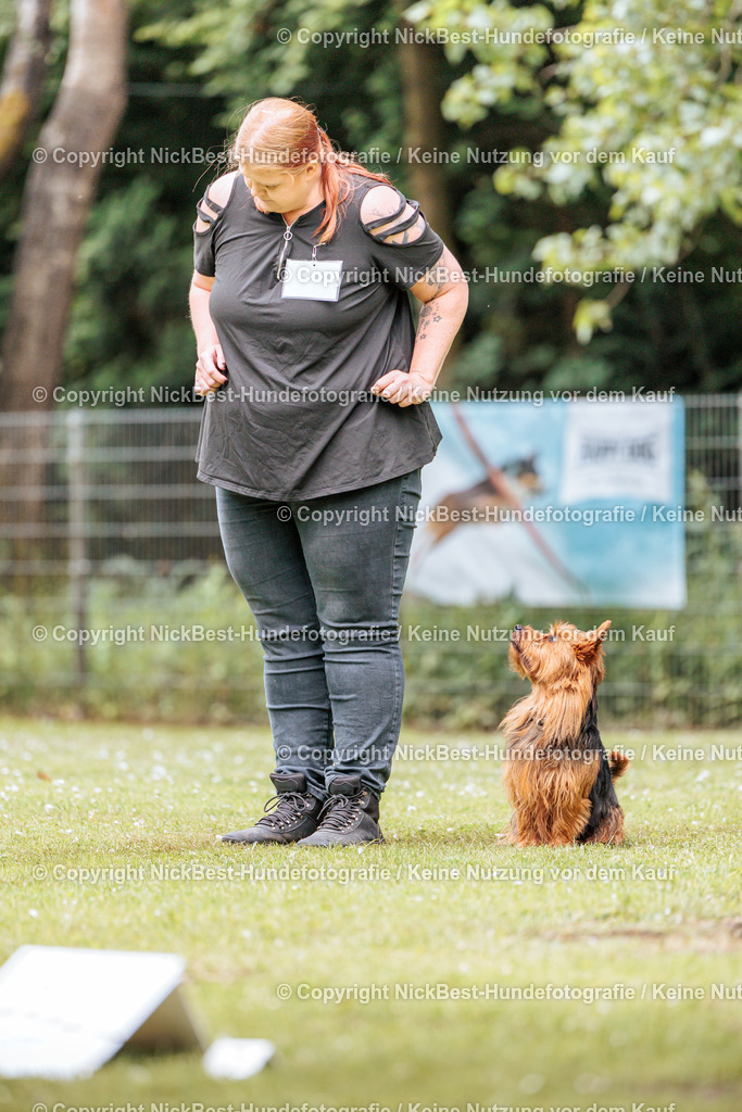 RO-Blumenthal-2026-Nickbest-Hundefotografie-2162 | Dein Hund! Dein Moment! Deine Erinnerungen! Hundefotografie in Bremen Blumenthal. Ich fange die besonderen Momente deines Vierbeiners ein – ob Indoor mit Blitzanlage oder in der freien Natur. Sicher dir dein Moment und dein Termin für eure Erinnerungen.