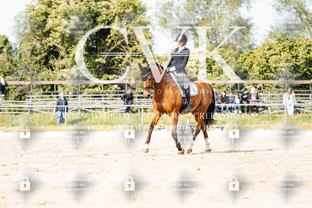 CK900140 | Turnierfotografie Pferdefotografie Trier Rheinland-Pfalz Pferdesport Reitsport Tierfotografie Sportfotografie Pferdevideo Pferdevideografie Equestrianvideography equestrianphotography  - Realisiert mit Pictrs.com