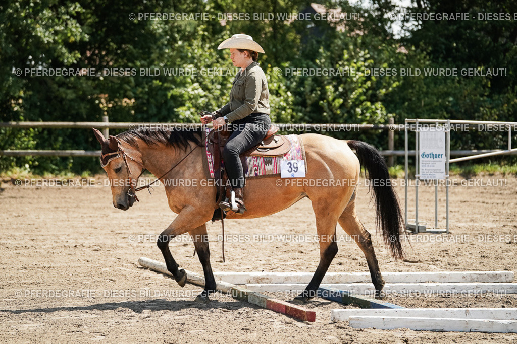 DSC06643 | Pferdegrafie