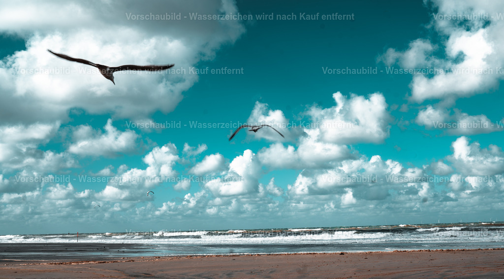 DSC00876-Enhanced-NR-2 | marcuslinek