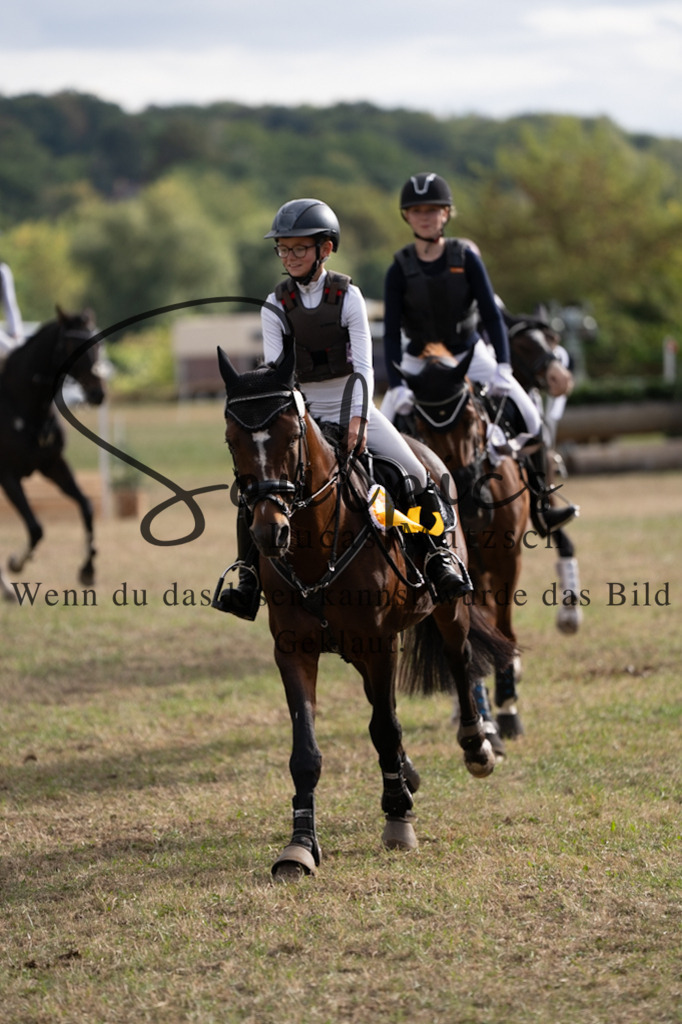 A7V01544 | Pferdefotograf