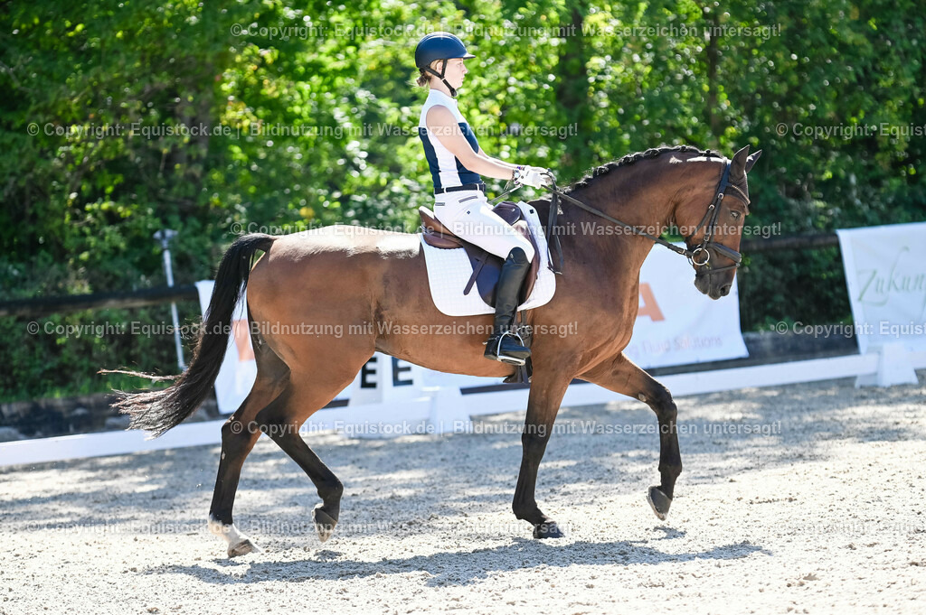 20230908_06_Dressur-L-Trense_0359 | equistock