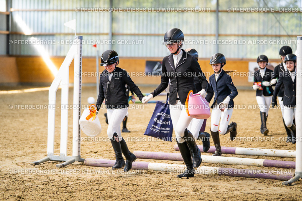 DSC02410 | Pferdegrafie