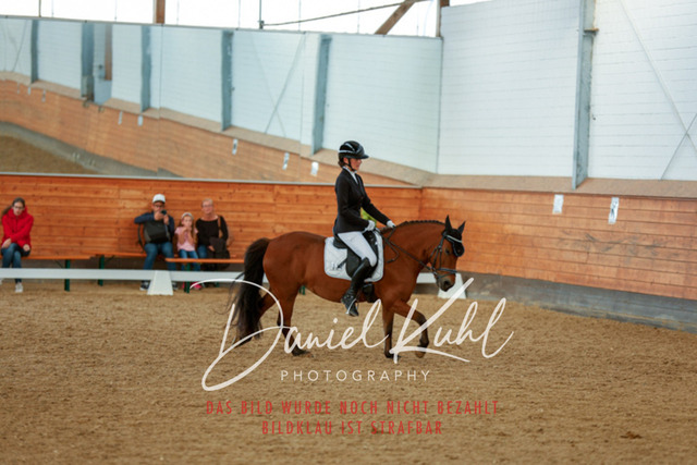 _62_8038 | Turniersportfotografie; Pferdefotografie; Dressurfotografie