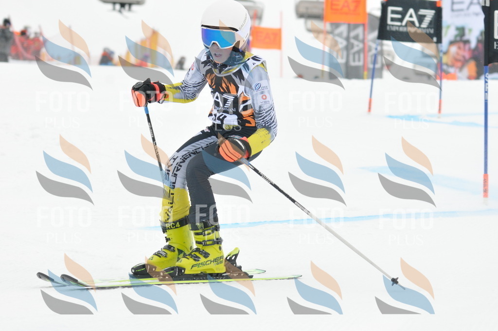 DSC_7748 | holidayphoto