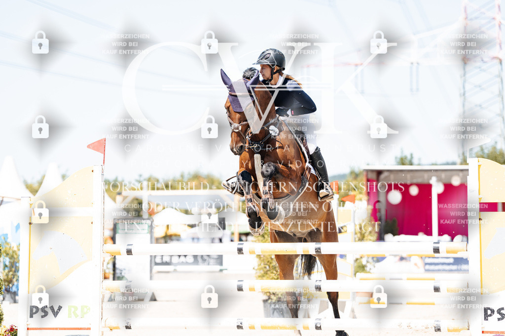 CK909560 | Turnierfotografie Pferdefotografie Trier Rheinland-Pfalz Pferdesport Reitsport Tierfotografie Sportfotografie Pferdevideo Pferdevideografie Equestrianvideography equestrianphotography  - Realisiert mit Pictrs.com
