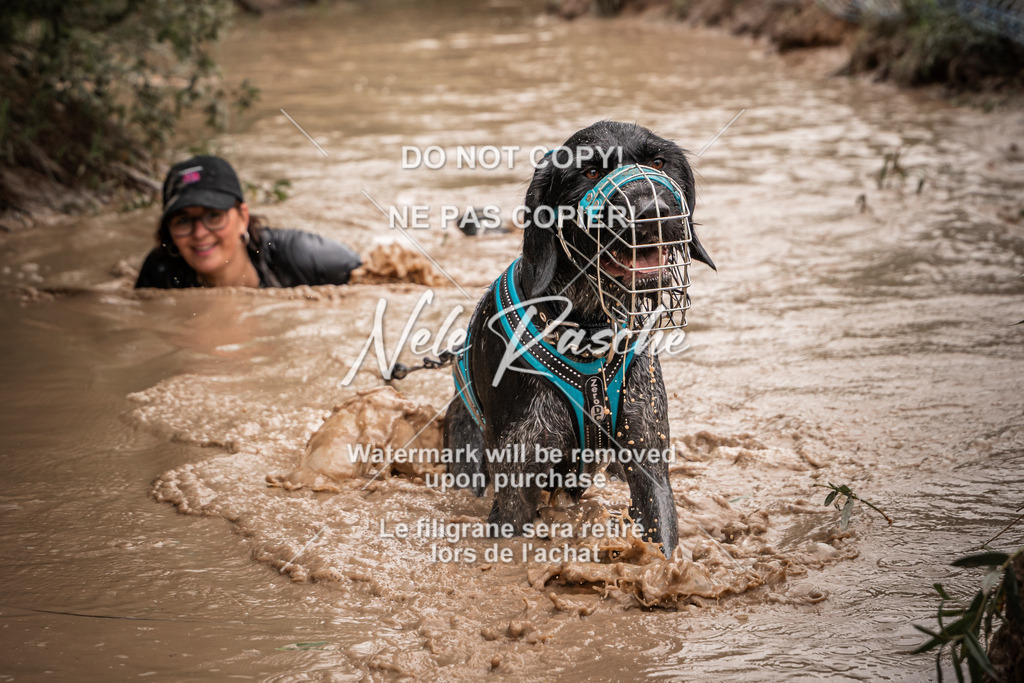 nelerasche_Hoope2026_So1030-1100_21 | nelerasche