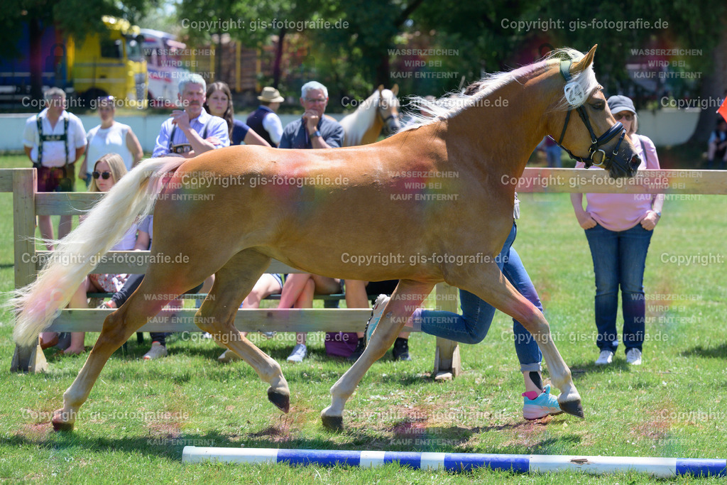 24_Bel-Amour_v.Armani-Ass_Aicher_250621_04 | gis-fotografie