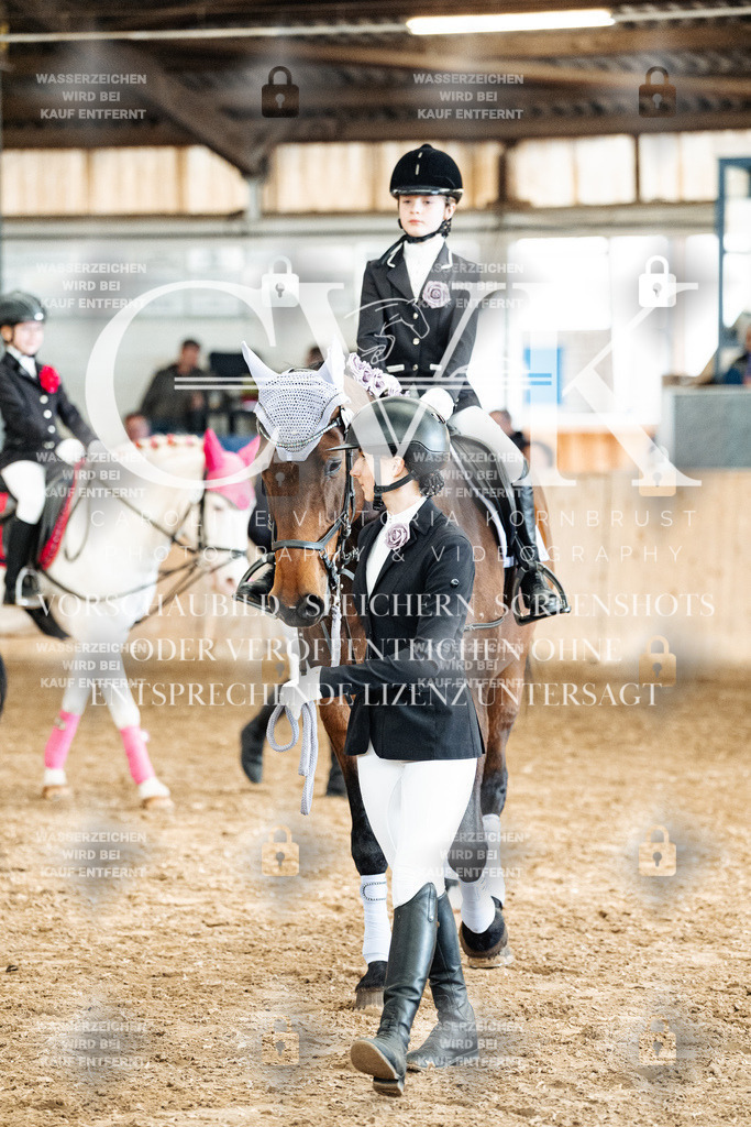 CK905951 | Turnierfotografie Pferdefotografie Trier Rheinland-Pfalz Pferdesport Reitsport Tierfotografie Sportfotografie Pferdevideo Pferdevideografie Equestrianvideography equestrianphotography  - Realisiert mit Pictrs.com