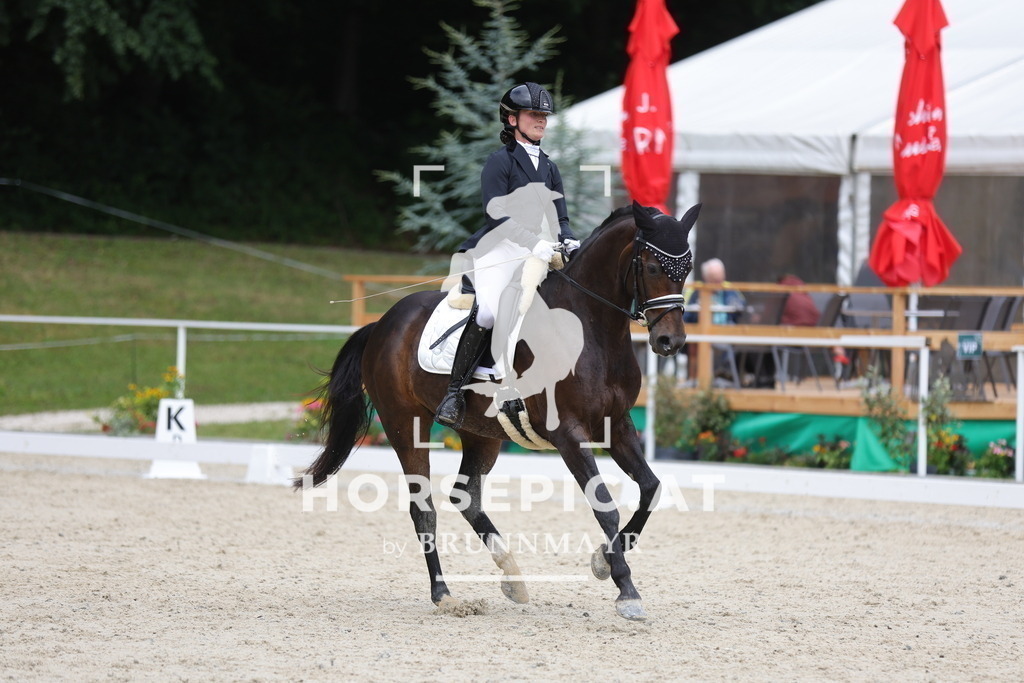 0P6A5032 | Willkommen bei Brunnmayr - Design & Fotografie – Ihrem Spezialisten für Reitturniere und Pferdeveranstaltungen in Oberösterreich, Salzburg und Bayern! Seit über 17 Jahren sind wir leidenschaftlich dabei.