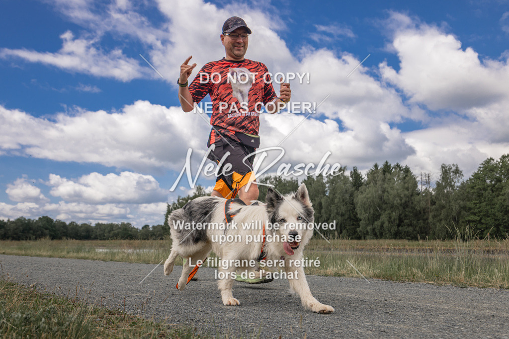nelerasche_BuHu2026_SaCC1100-1200_61 | nelerasche