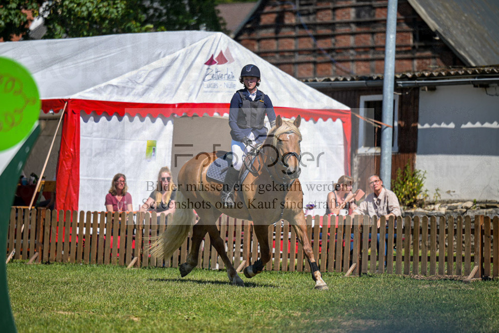 Reitturnier Voxtrup | Entdecke hochwertige Reitturnierfotos von Foto Oger. Professionell, emotional und authentisch – jetzt Lieblingsmomente im Shop bestellen.Deutschlandweite Turnierfotografie. - Realisiert mit Pictrs.com