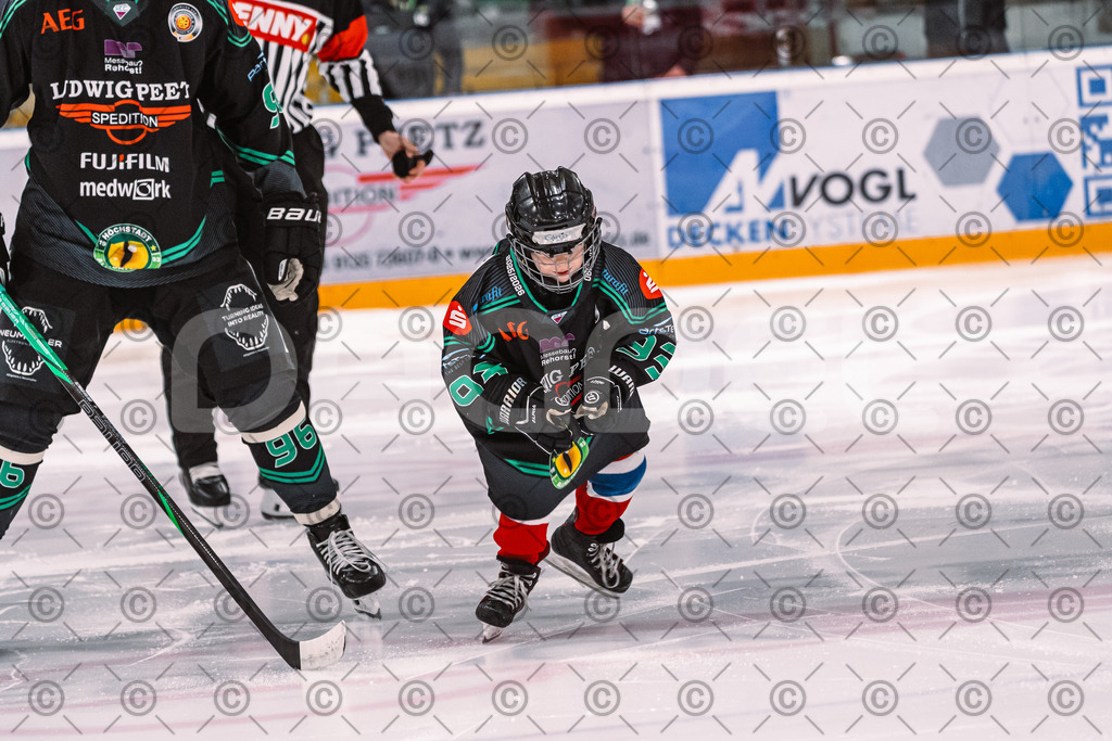 Alligators_vs_Memmingen_05_12_2025-049 | Höchstadt Alligators Fotogalerie: Eishockey-Action aus Franken. Professionelle Spielfotos, Portraits & Stadionbilder zum Download. Jetzt entdecken! - Realisiert mit Pictrs.com