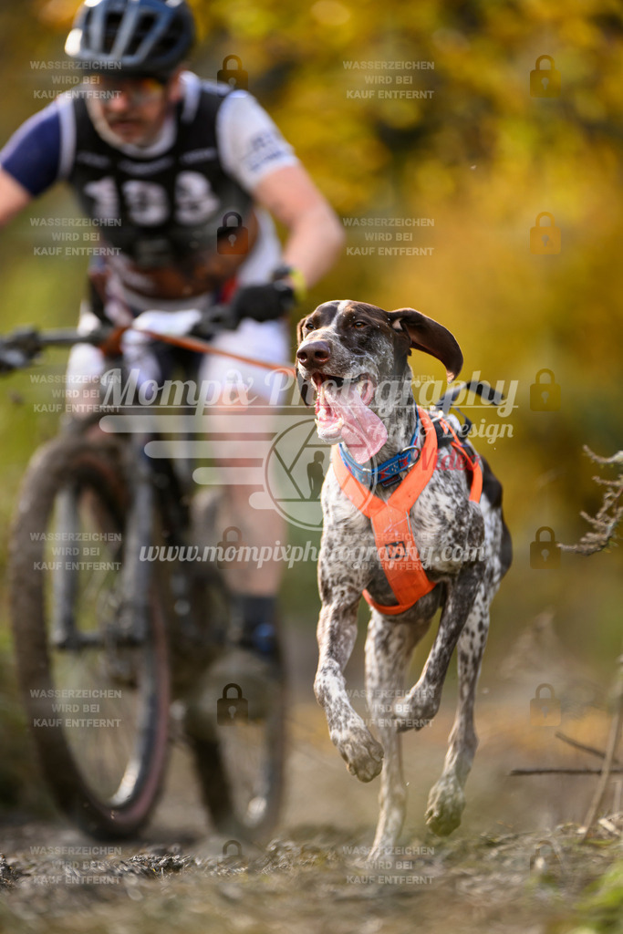 MompixPhotography_ICF_WC_2024_SA_Bike_-320 | PayLife
