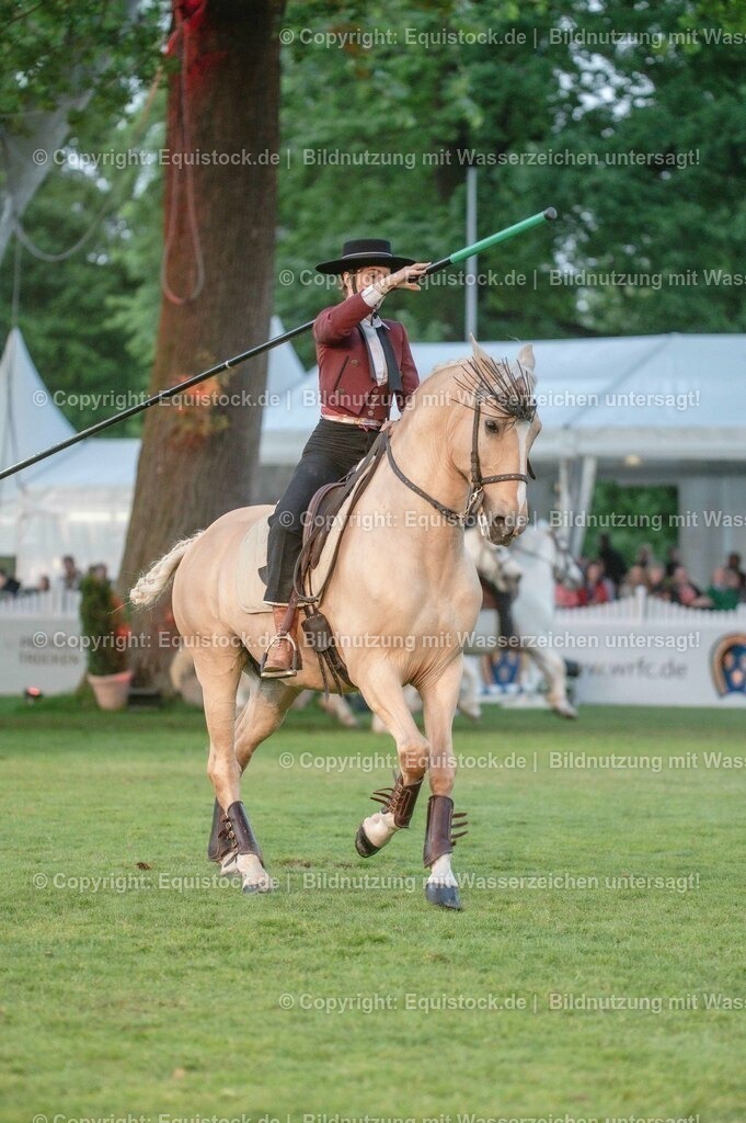 20230526_Pferdenacht_0743 | equistock