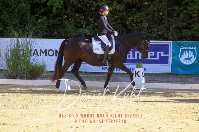 DKP41714 | Turniersportfotografie; Pferdefotografie; Dressurfotografie