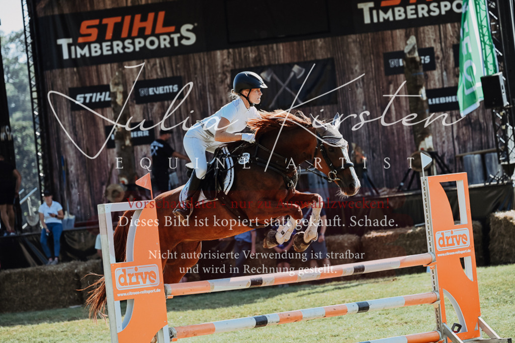 DSC_5610 | Pferde- und Turnierfotografie in Westsachsen. Pferdeportraits, Auftragszeichnungen und intuitive Kunst.