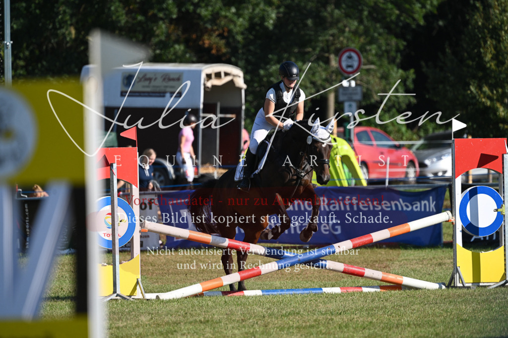 DSC_4987 | Pferde- und Turnierfotografie in Westsachsen. Pferdeportraits, Auftragszeichnungen und intuitive Kunst.