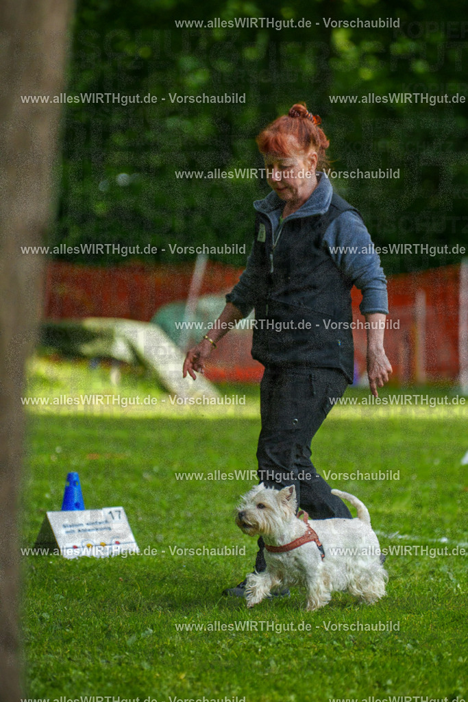 @allesWIRTHgut_Tierfotografie - www.allesWIRTHgut.de - 7R503835 | Professionelle Tierfotografie in Mönchengladbach von Daniel Wirth (allesWIRTHgut). Liebevolle & natürliche Bilder von Hunden & Katzen für unvergessliche Erinnerungen.
