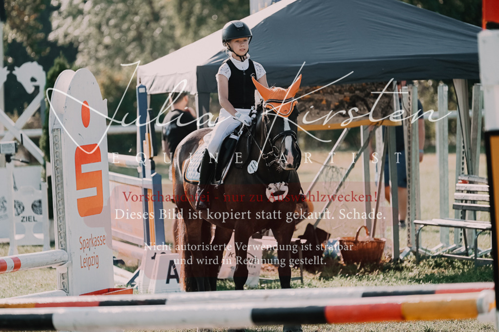 DSC_4458 | Pferde- und Turnierfotografie in Westsachsen. Pferdeportraits, Auftragszeichnungen und intuitive Kunst.