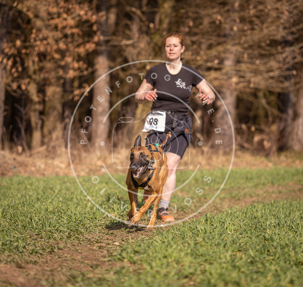DV3A6417 | Hundefotografie, Tierfotograf, Pfotenfotografie, Fotoshooting Hund, Hunde Portrait, Hundesport, Hundeportraits, Heideshooting, Hunde, Sportfotograf, Hundefotograf, Turnierhundsport, THS,  - Realisiert mit Pictrs.com