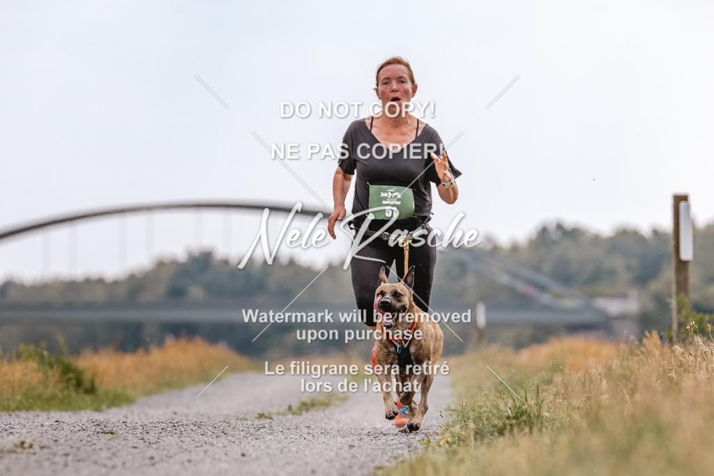 BUHU_CC_085 | nelerasche