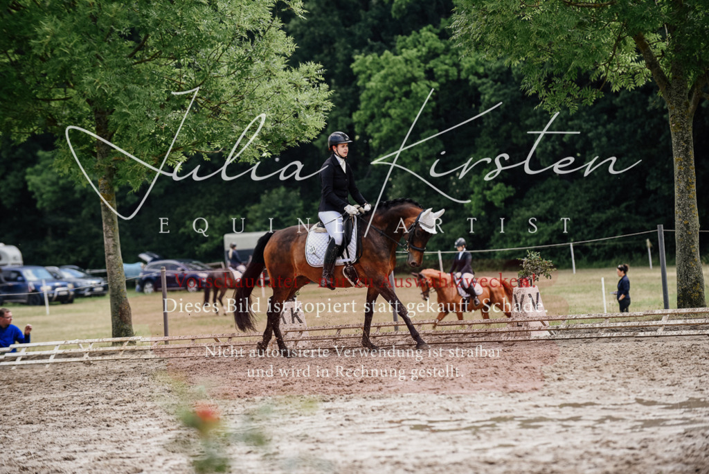 DSC_9861 | Pferde- und Turnierfotografie in Westsachsen. Pferdeportraits, Auftragszeichnungen und intuitive Kunst.