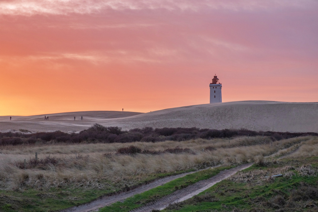 DSCF1874 | Entdecken Sie hochwertige Fotoprodukte für Ihr Zuhause, Büro oder als besonderes Geschenk.rpixel.de bietet Ihnen exklusive Fotografien aus den Bereichen Natur, Landschaft und Motiven vom Meer.Einfach direkt im Online-Shop bestellen. - Realisiert mit Pictrs.com