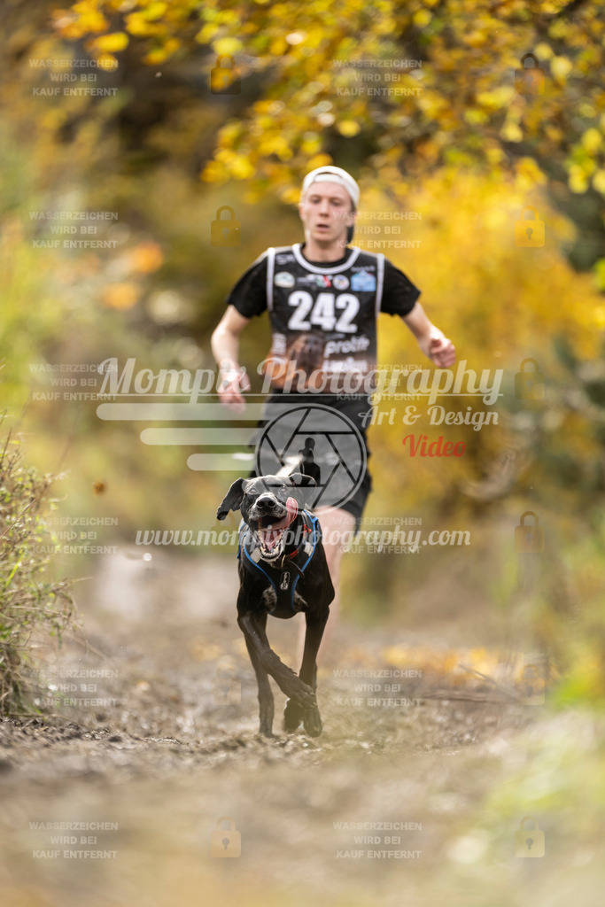 MompixPhotography_ICF_WC_2024_SA_Run_-25 | PayLife