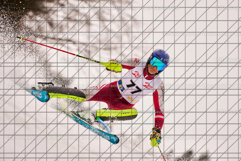 ALP9744_Herrn-FIS-SL-I_SK-Lackenhof_HROVATH Stefan | Internationaler FIS Slalom der Herrn auf der Distelpiste in Lackenhof am Do 13. März 2025.  Österreich, LSV-NÖ, Schiklub Lackenhof (2010).