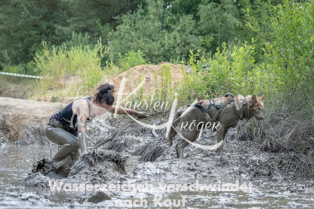 1545_ZZ90961 | kk-dogfotos