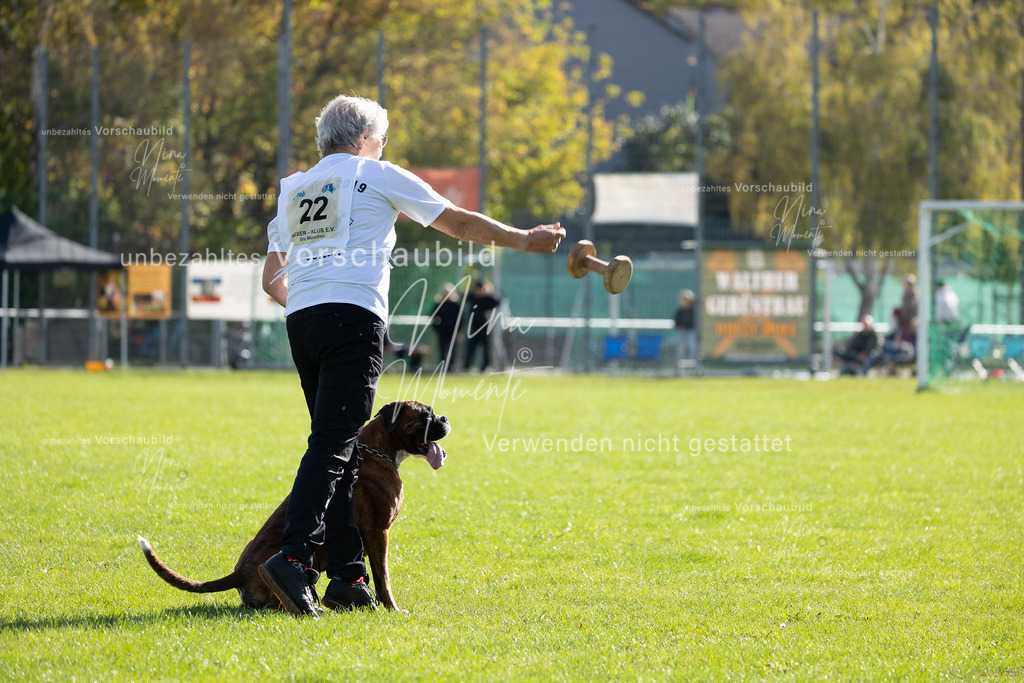 _16A5251 | Einzigartige Fotos von Hunden & Menschen –Actionfotos, Portraits, Vereinsaufnahmen & Paarshootings – authentisch, lebendig & mit Herz.
