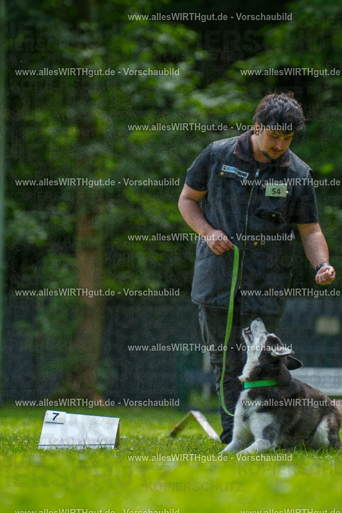 @allesWIRTHgut_Tierfotografie - www.allesWIRTHgut.de - 7R500915 | Professionelle Tierfotografie in Mönchengladbach von Daniel Wirth (allesWIRTHgut). Liebevolle & natürliche Bilder von Hunden & Katzen für unvergessliche Erinnerungen.