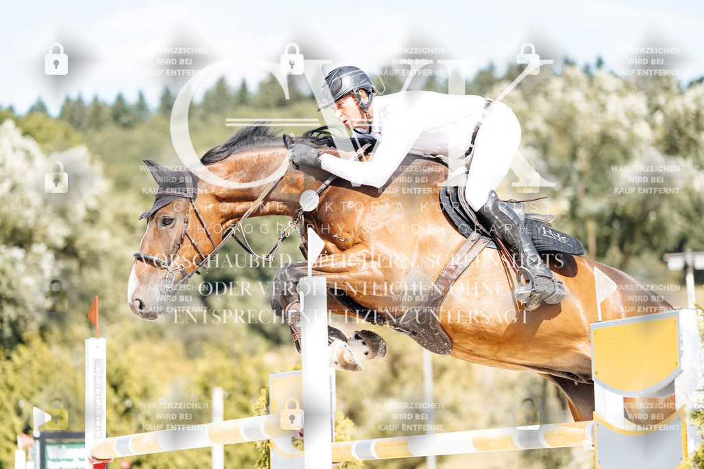 CK908929 | Turnierfotografie Pferdefotografie Trier Rheinland-Pfalz Pferdesport Reitsport Tierfotografie Sportfotografie Pferdevideo Pferdevideografie Equestrianvideography equestrianphotography  - Realisiert mit Pictrs.com