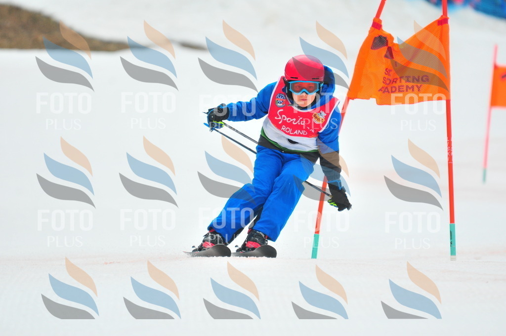 C0339 | holidayphoto