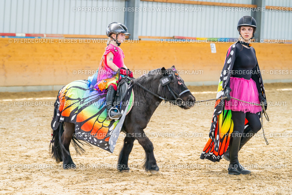 DSC00402 | Pferdegrafie