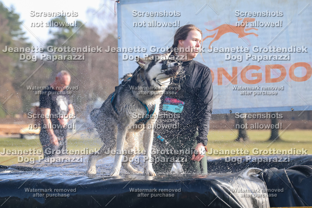 Dog Paparazzi - Strongdog North Mrz26-949 | Dog Paparazzi Jeanette Grottendiek Fotografie & Videografie - Realisiert mit Pictrs.com