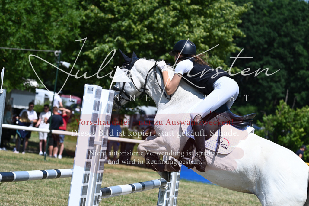 DSC_0841 | Pferde- und Turnierfotografie in Westsachsen. Pferdeportraits, Auftragszeichnungen und intuitive Kunst.