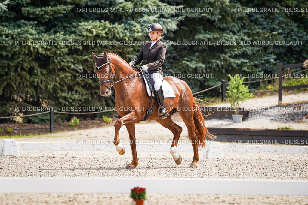 DSC09866 | Pferdegrafie