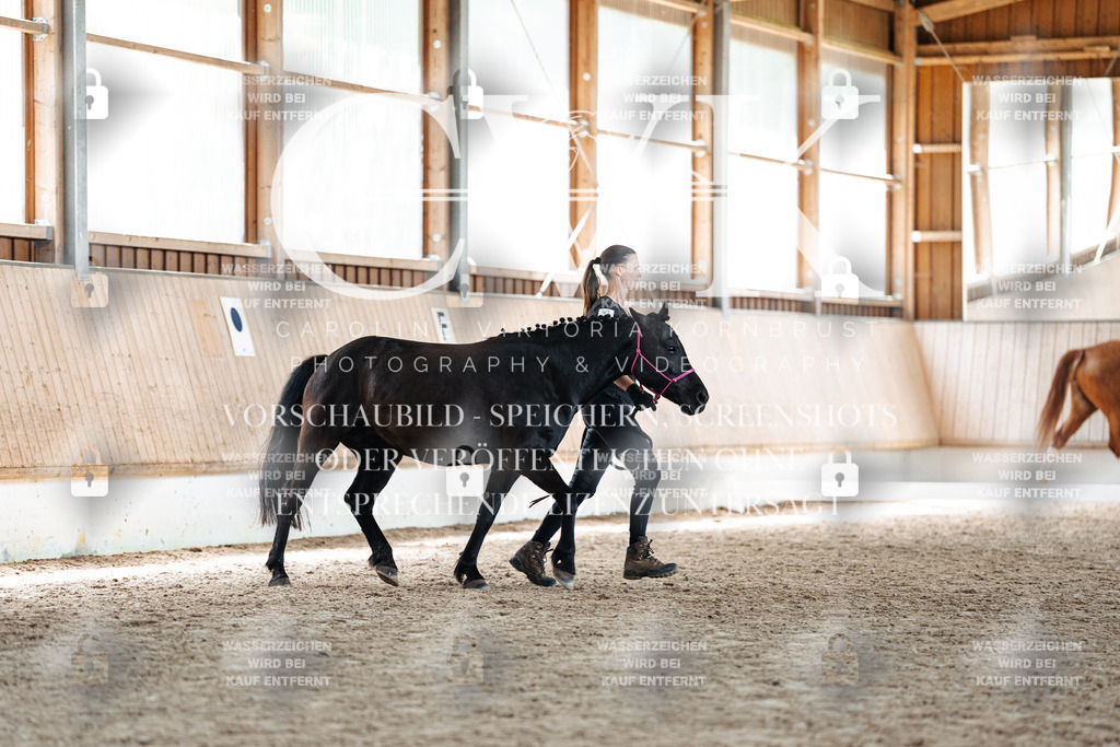 CK907373 | Turnierfotografie Pferdefotografie Trier Rheinland-Pfalz Pferdesport Reitsport Tierfotografie Sportfotografie Pferdevideo Pferdevideografie Equestrianvideography equestrianphotography  - Realized with Pictrs.com