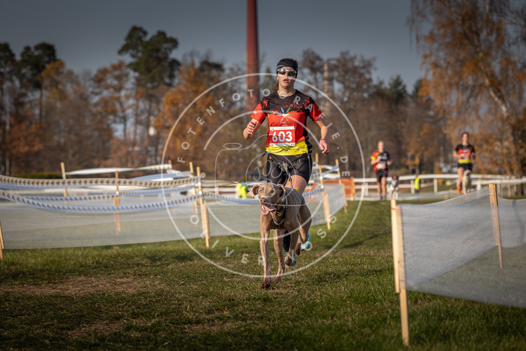 CaniXpix_0L8A0070 | Hundefotografie, Tierfotograf, Pfotenfotografie, Fotoshooting Hund, Hunde Portrait, Hundesport, Hundeportraits, Heideshooting, Hunde, Sportfotograf, Hundefotograf, Turnierhundsport, THS,  - Realisiert mit Pictrs.com
