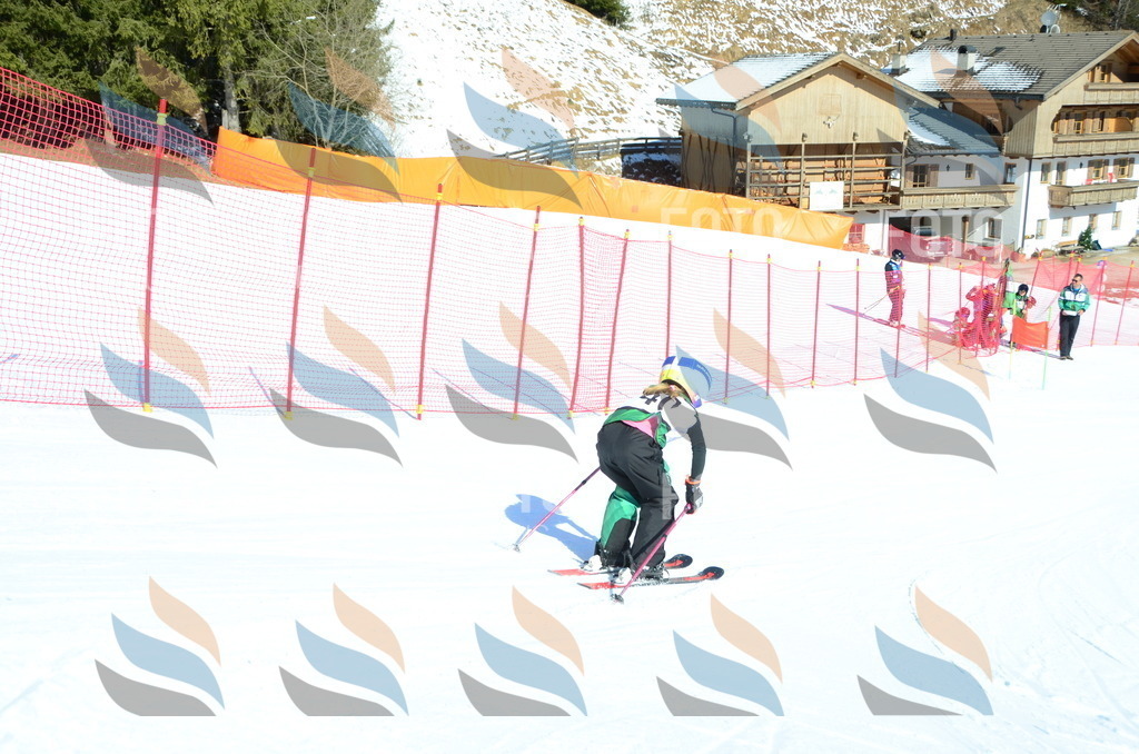 C5047 | holidayphoto