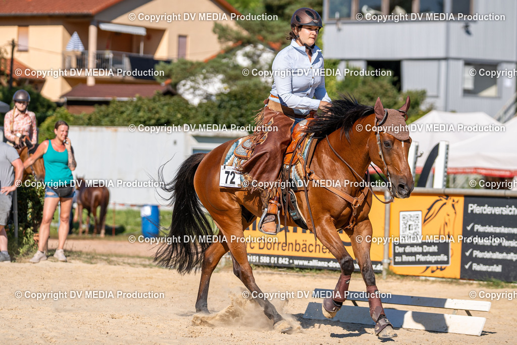 LM Heiligenwald Tag 1-1937 | dv-media-shop - Realisiert mit Pictrs.com