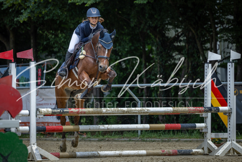 20260704-_3LI8979 | Tierfotografie Pferde, Hunde, Katzen, Haustiere.
Turnierfotografie Reitturniere, Reiten, Springreiten, Dressur in Hanau, dem Main-Kinzig-Kreis und dem Rhein-Main- Gebiet um Frankfurt