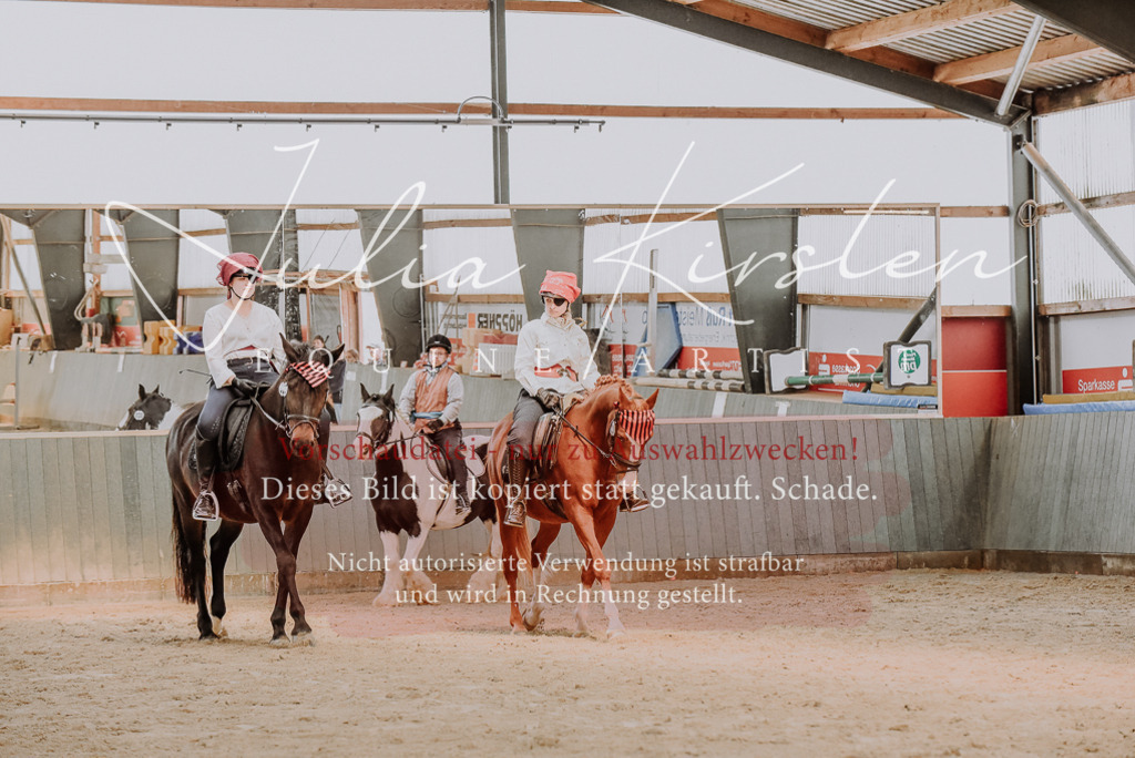 DSC_7154 | Pferde- und Turnierfotografie in Westsachsen. Pferdeportraits, Auftragszeichnungen und intuitive Kunst.