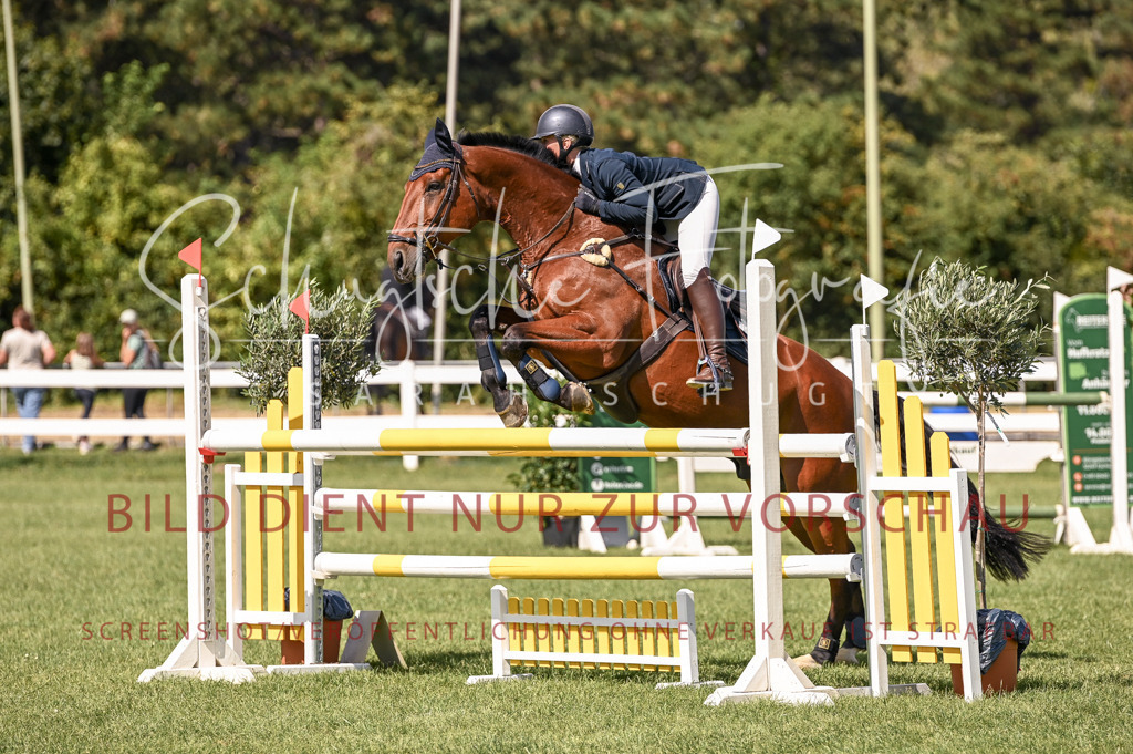 Schugtsche-Düren.2024-09.Springprf.L-139 | Schugtsche Fotografie - Realisiert mit Pictrs.com