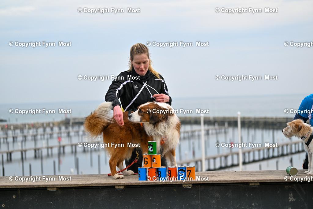 DSC_4189 | Hallo und herzlich Willkommen auf meiner Shop-Seite Fynn Most.

Ich wünsche Dir viel Spaß beim stöbern durch die Bilder, wenn Du Fragen hast oder Bilder vermisst, kannst du mir gerne eine Nachricht schreiben. - Realisiert mit Pictrs.com
